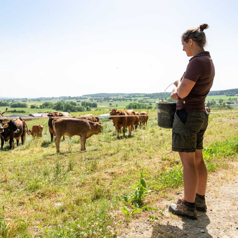 img-de-landwirtschaft-landluft img-de-landwirtschaft-landluft
