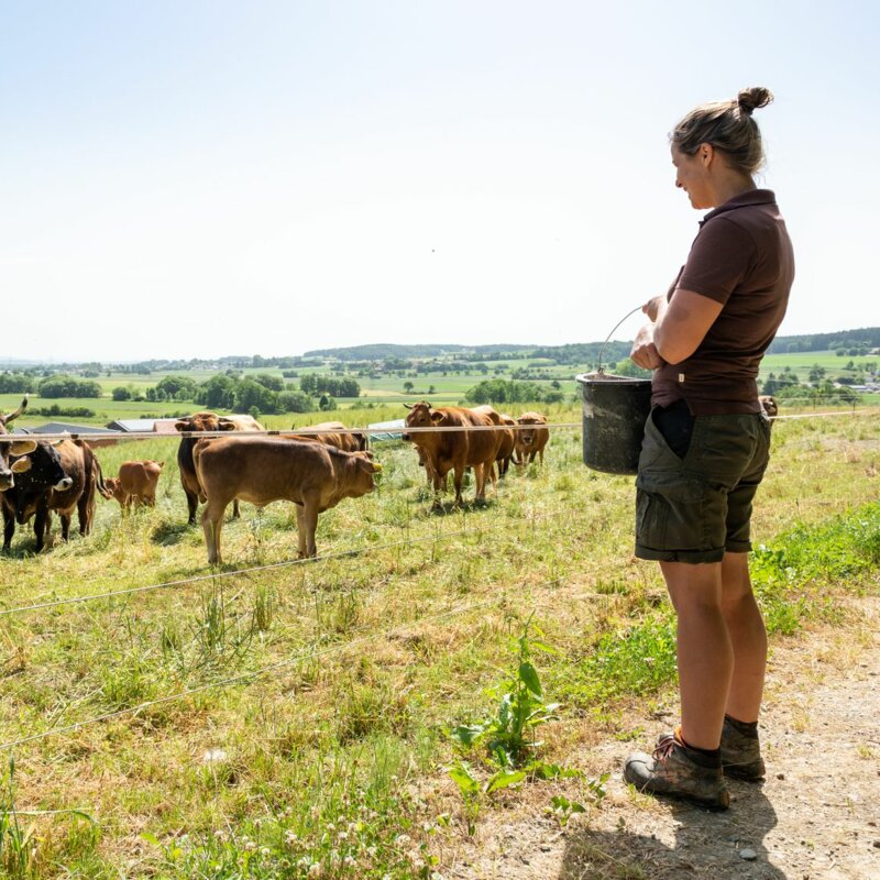 img-de-landwirtschaft-landluft