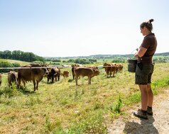 img-de-landwirtschaft-landluft