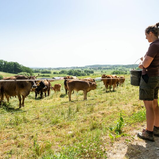 jobs_landwirtschaft | © © LandLuft Leberfing