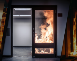 © © AstralAngel_stock.adobe