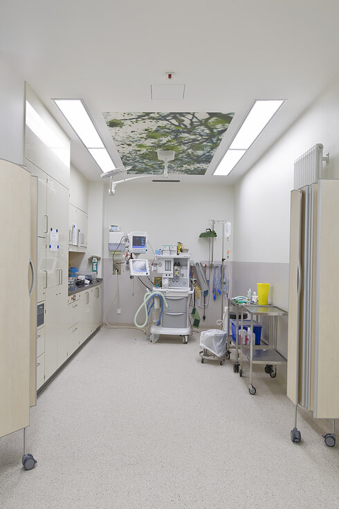 img_de_paracelsus_hen_7 img_de_paracelsus_hen_7