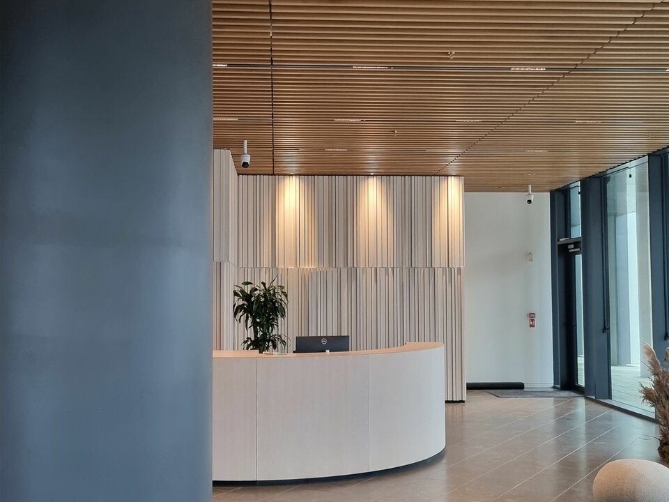 RIBline Timber Slats Ceiling Solo System | Cladding system
