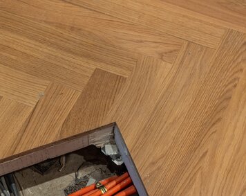 img_at_parlament_wien_36