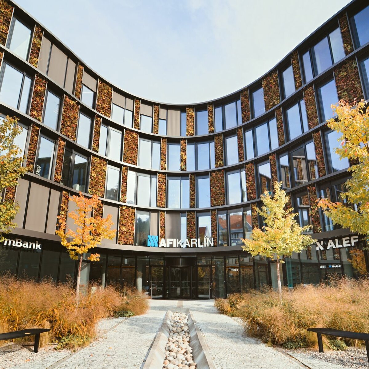 img_cze_afi_butterfly_12