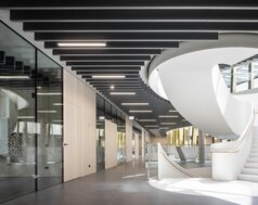 img_de_maria_ward_5_1