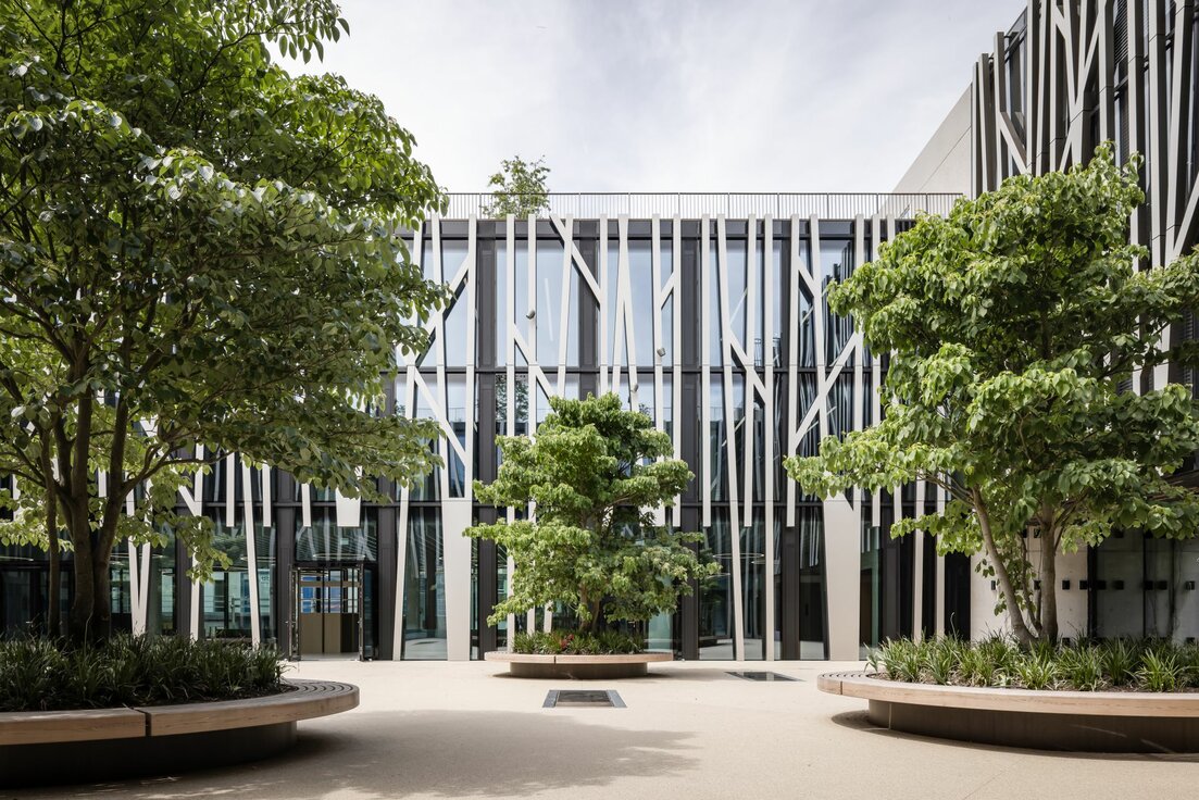 img_de_maria_ward_29_1 img_de_maria_ward_29_1