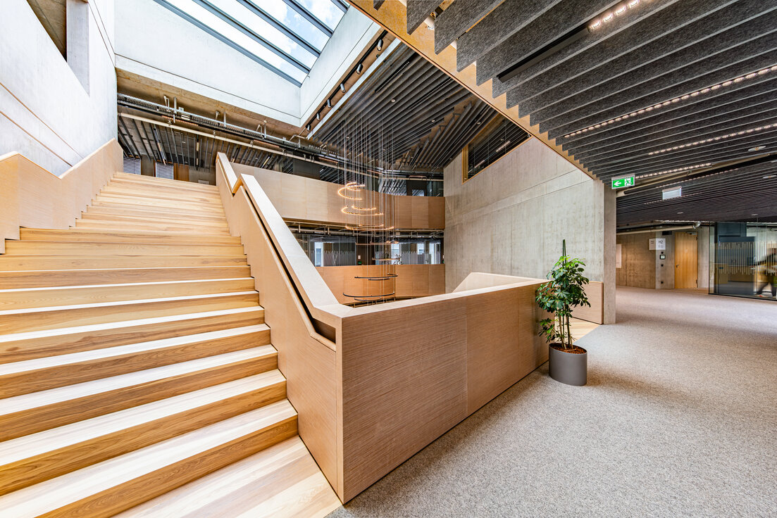 Weitläufiger Holztreppenaufgang im DACHSER Network Campus mit MUTE+® Akustikbaffeln, moderner Pendelleuchte und hellem Lichthof | © © Fotostudio Sienz