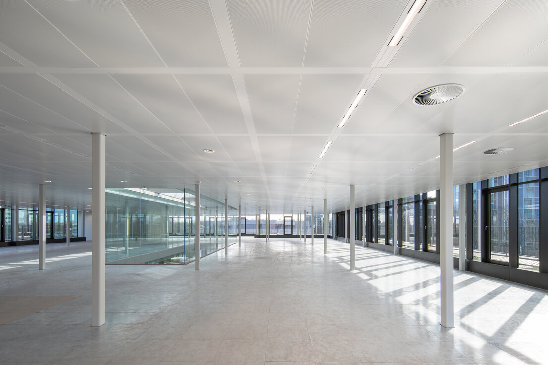 © © Aiste Rakauskaite