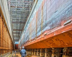 img_de_dolwin_gamma_22