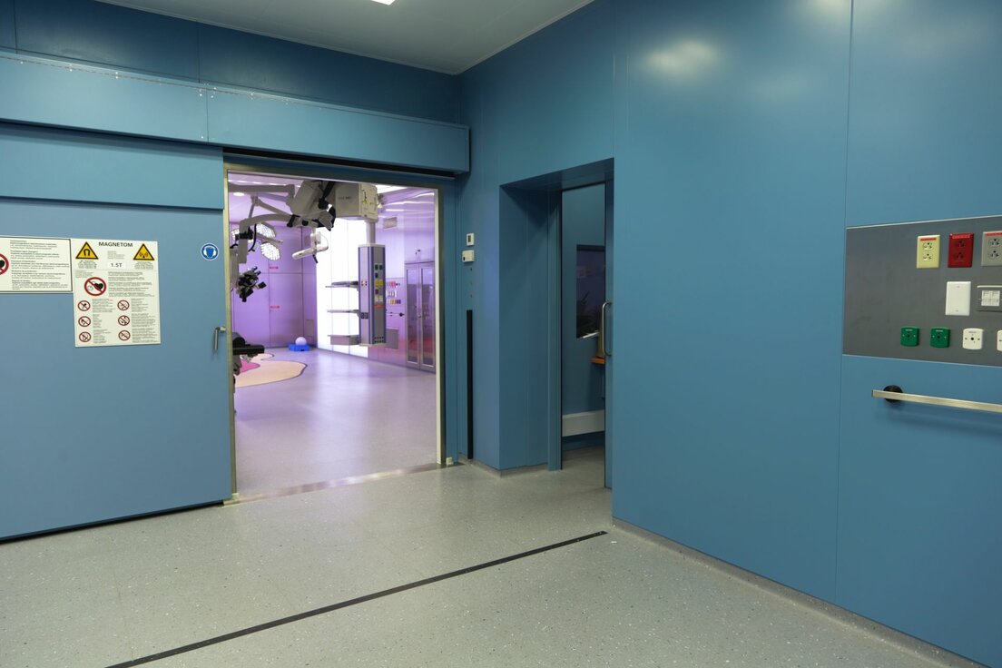 img_sau_brainsuite_riad_1