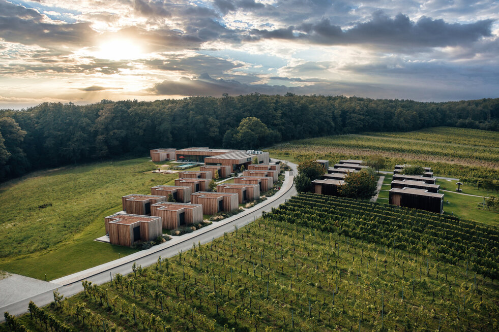 © © Ratschen_Groszer Wein