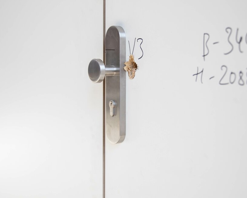 Ein Türknauf nach einem Einbruchversuch mit Schraubenzieher.