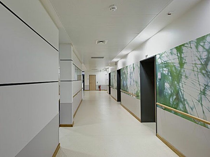 img_de_paracelsus_hen_29